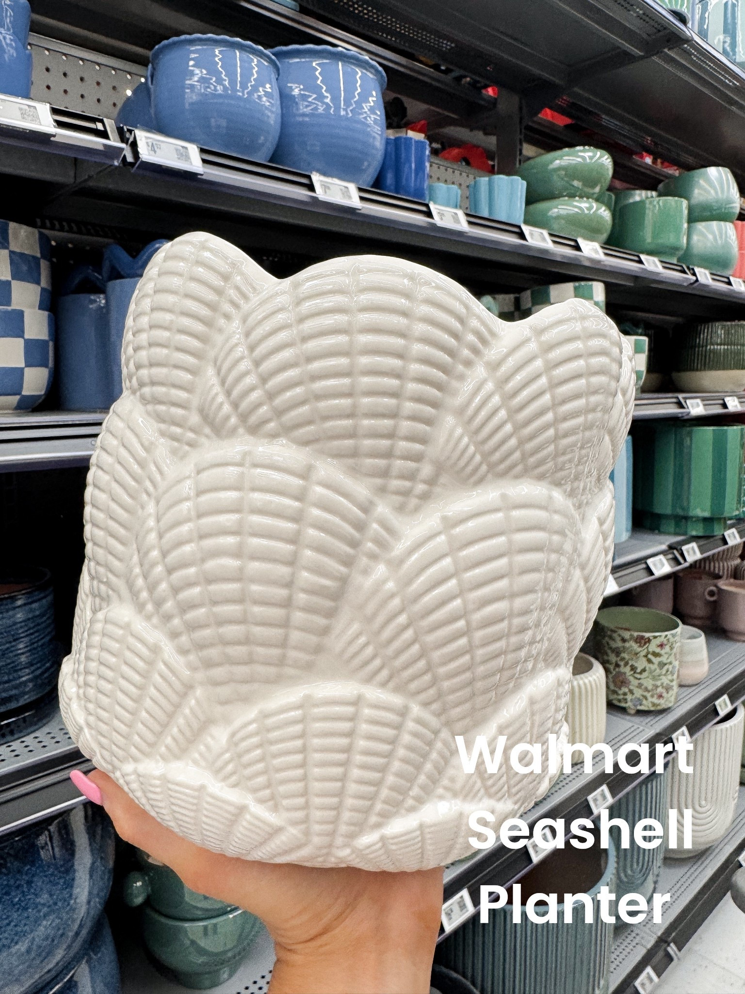 🐚 Walmart Seashell Planter (Under $10)

Walmart home decor never disappoints 🤍🐚 This seashell planter is one of the prettiest coastal finds I’ve seen lately — and it’s UNDER $10!!

The size is so good (perfect for a coffee table, entryway, bathroom shelf or kitchen styling) and the quality is amazing. It’s super heavy and feels way more high-end than the price point. The glossy ceramic finish and layered shell detail make it look like something from a boutique coastal home store 🌊✨

It also comes in a larger size option if you want to make more of a statement!

If you love:
• coastal home decor
• beach inspired decor
• summer home styling
• neutral ceramic planters
• affordable Walmart home finds

…this one is a must 🤍 Linking both sizes in LTK!

#WalmartHome #WalmartFinds #CoastalDecor #BeachHouseStyle #AffordableHomeDecor #SummerHome #NeutralDecor #LTKHome #WalmartDeals


#LTKHome #LTKSeasonal