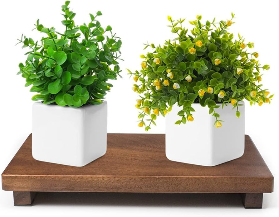 Wood Riser for Display Walnut Wood Pedestal Stand, Farmhouse Decor Soap Tray, Displays Your Plant... | Amazon (US)