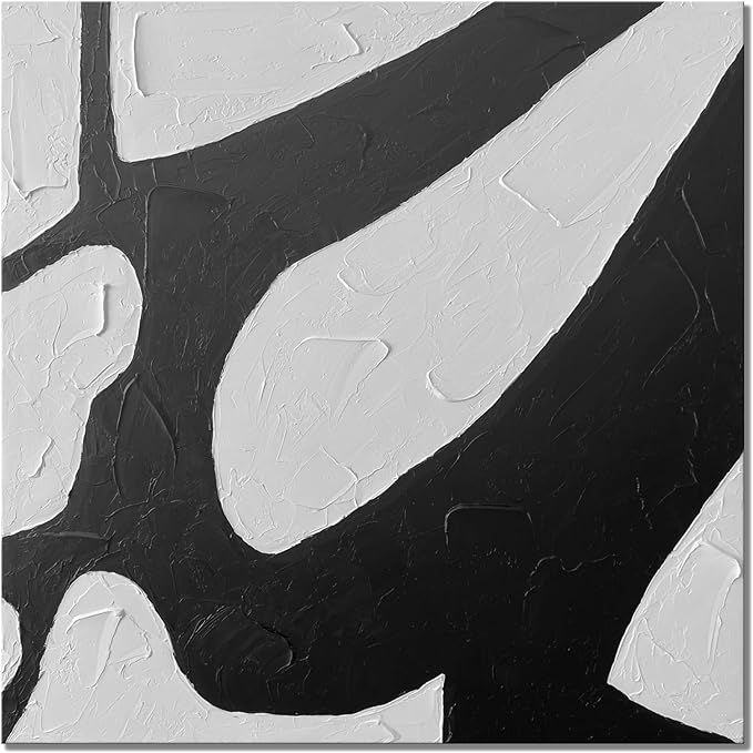 zoinart Large Black and White Abstract Canvas Wall Art 24"x24" Hand-Painted Modern Texture Oil Pa... | Amazon (US)