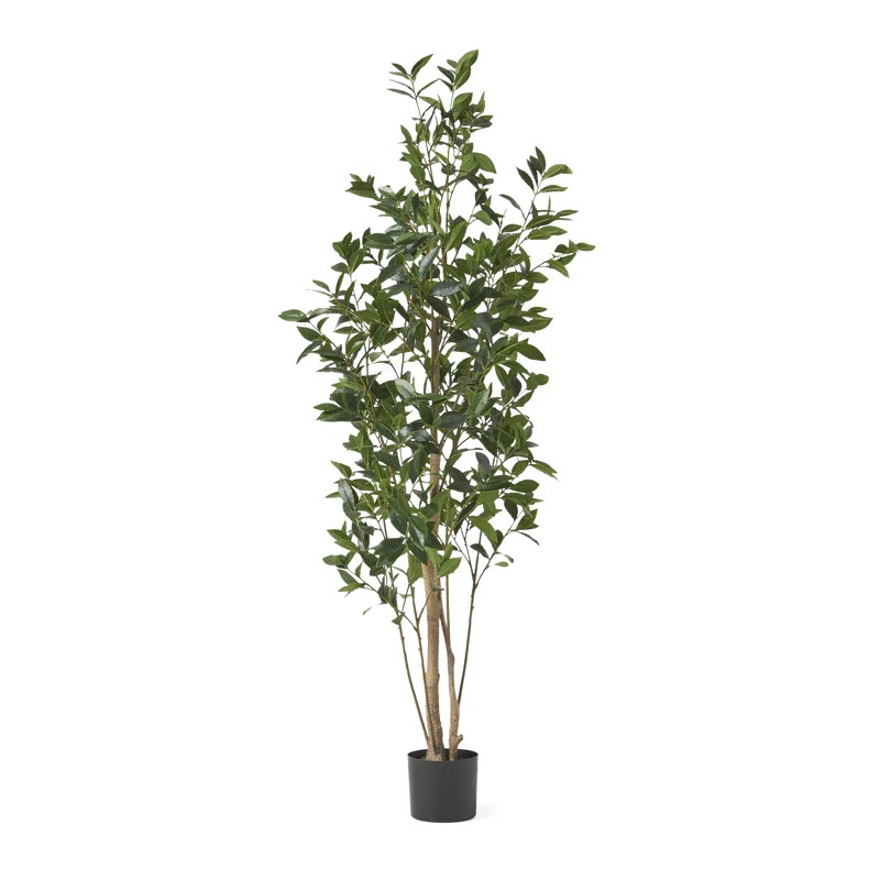 Abernethy Artificial Laurel Tree in Pot | Wayfair North America