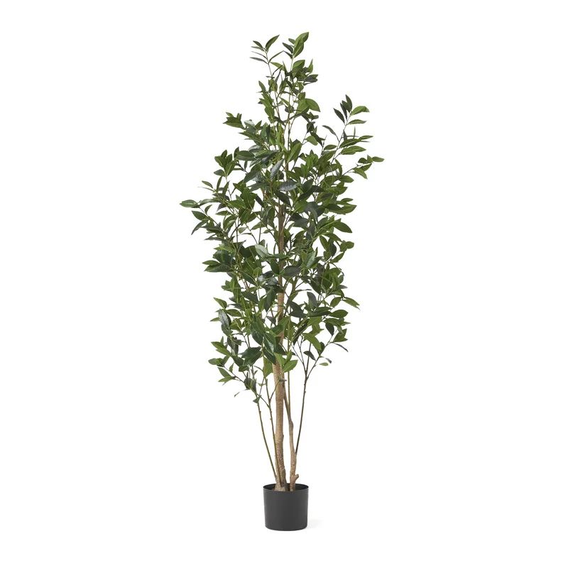 Abernethy Artificial Laurel Tree in Pot | Wayfair North America