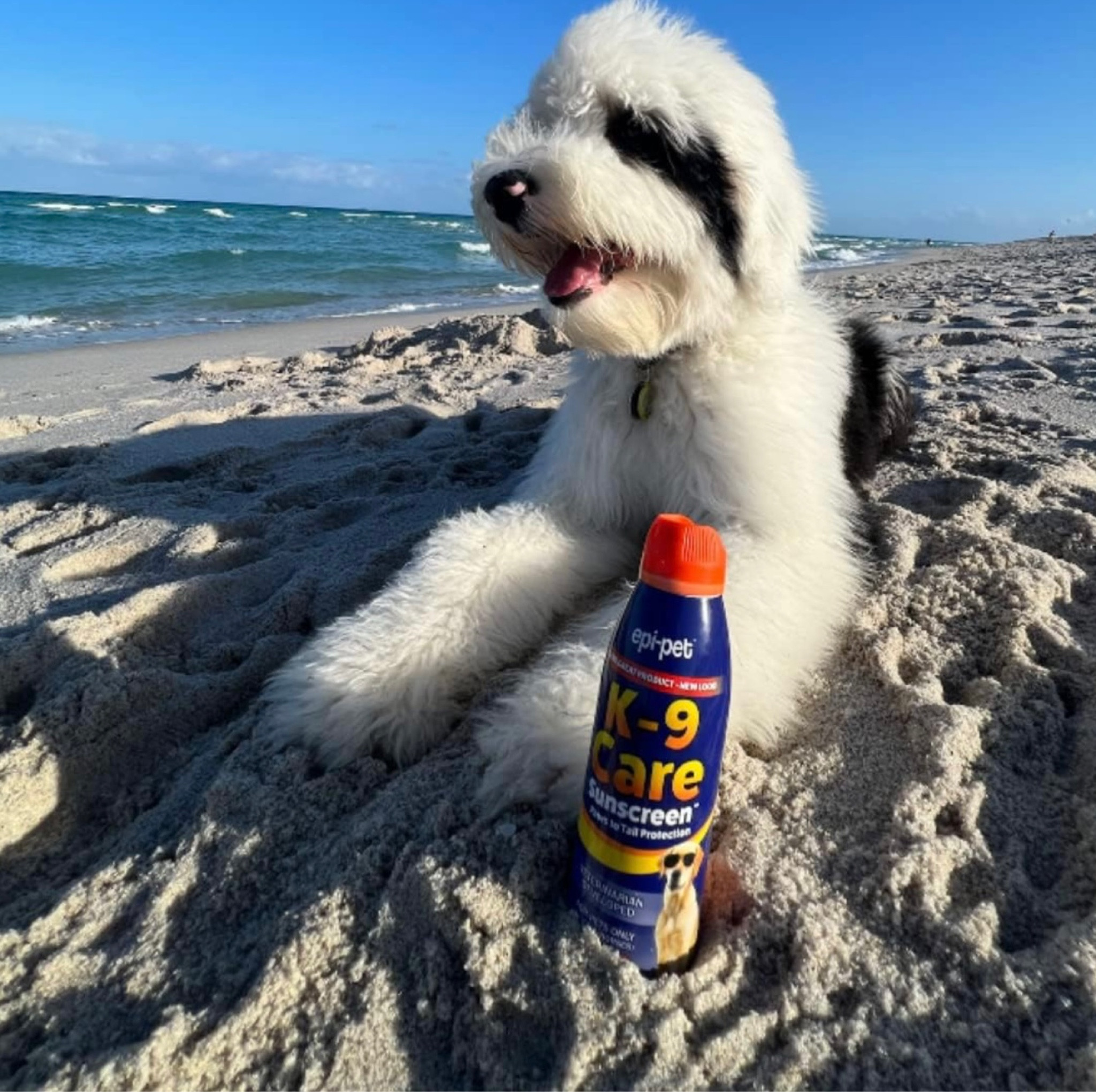 Did you know your dog can get sunburned too? Protect your pet from those dangerous rays with this sunscreen, developed by a veterinarian! 

#LTKsalealert #LTKSeasonal #LTKxPrimeDay