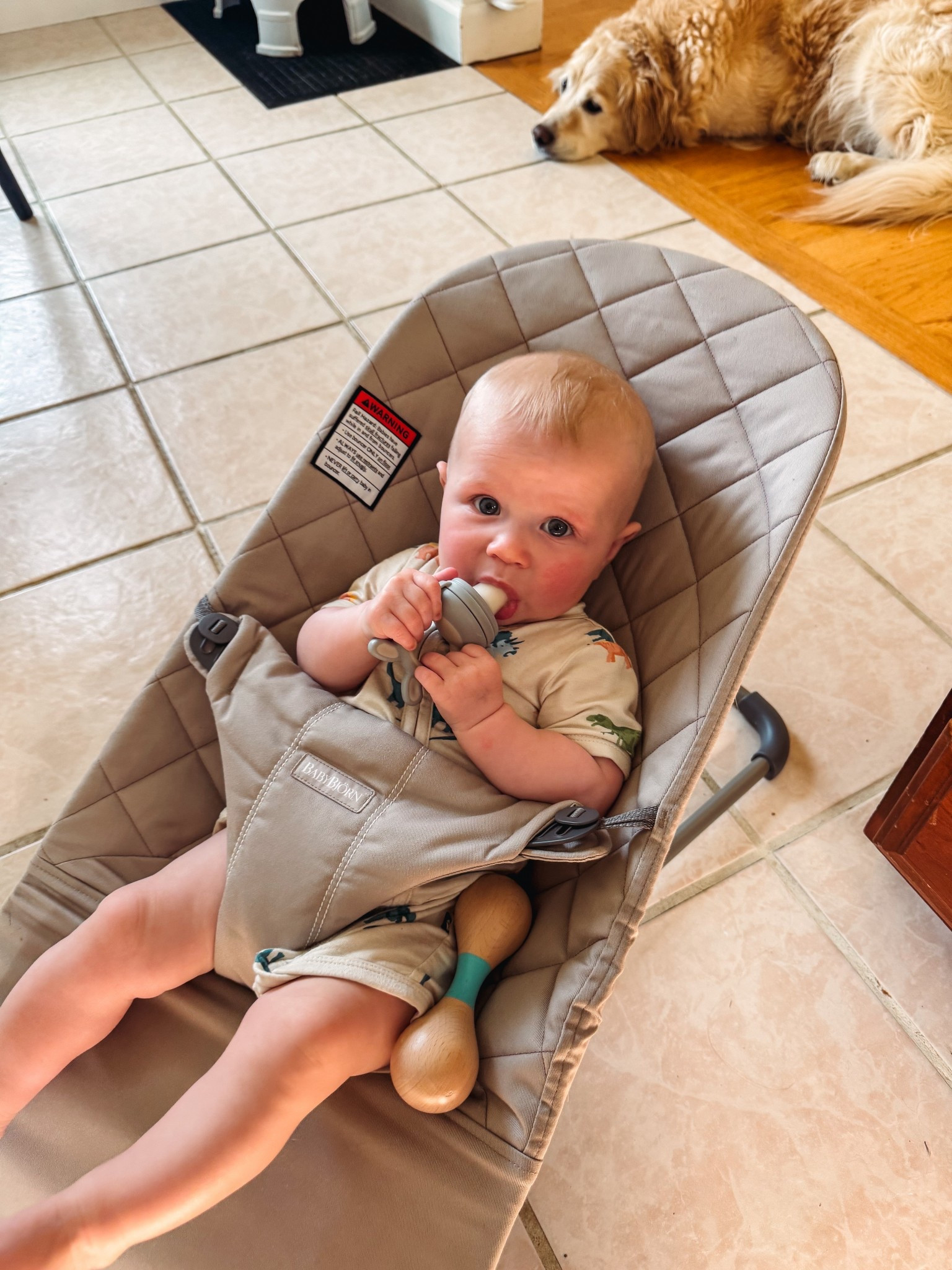 Our FAVE feeder to start introducing solids & for boobie milk popsicles in the summer!!

#LTKBaby #LTKBump #LTKFamily