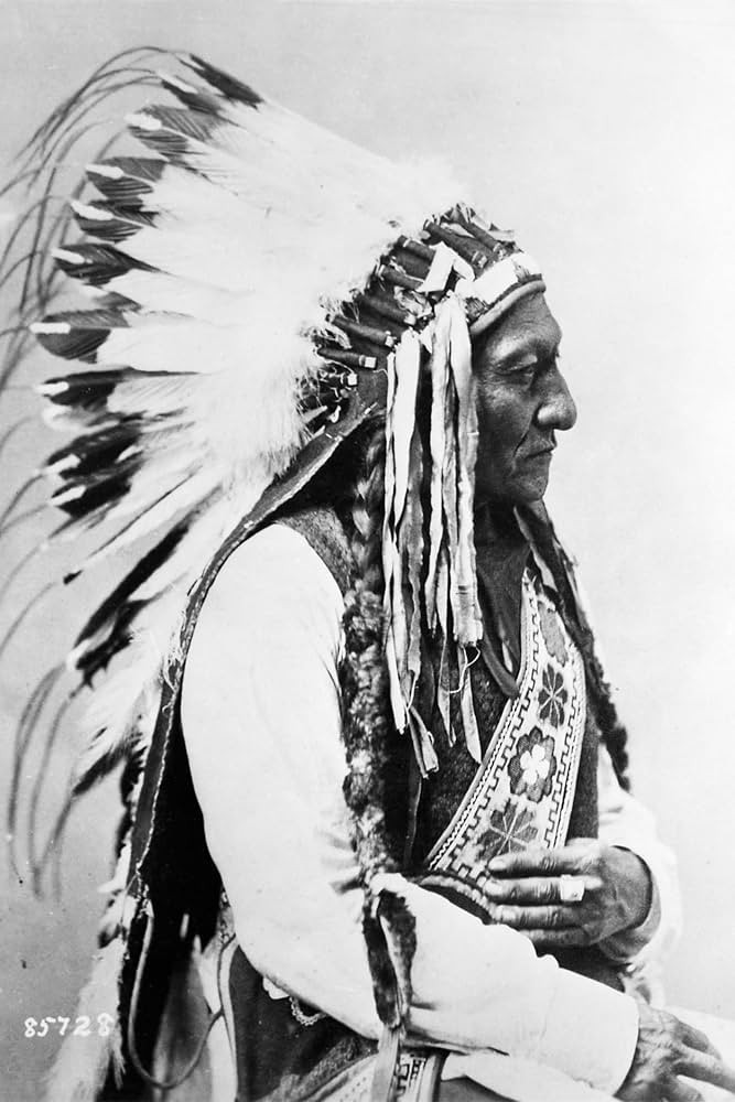 24x36 gallery poster, Sitting Bull, 1885 | Amazon (US)