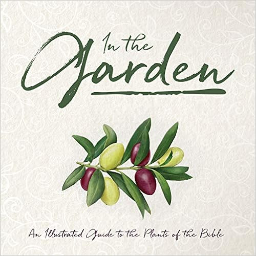 In the Garden: An Illustrated Guide to the Plants of the Bible    Hardcover – February 11, 2020 | Amazon (US)