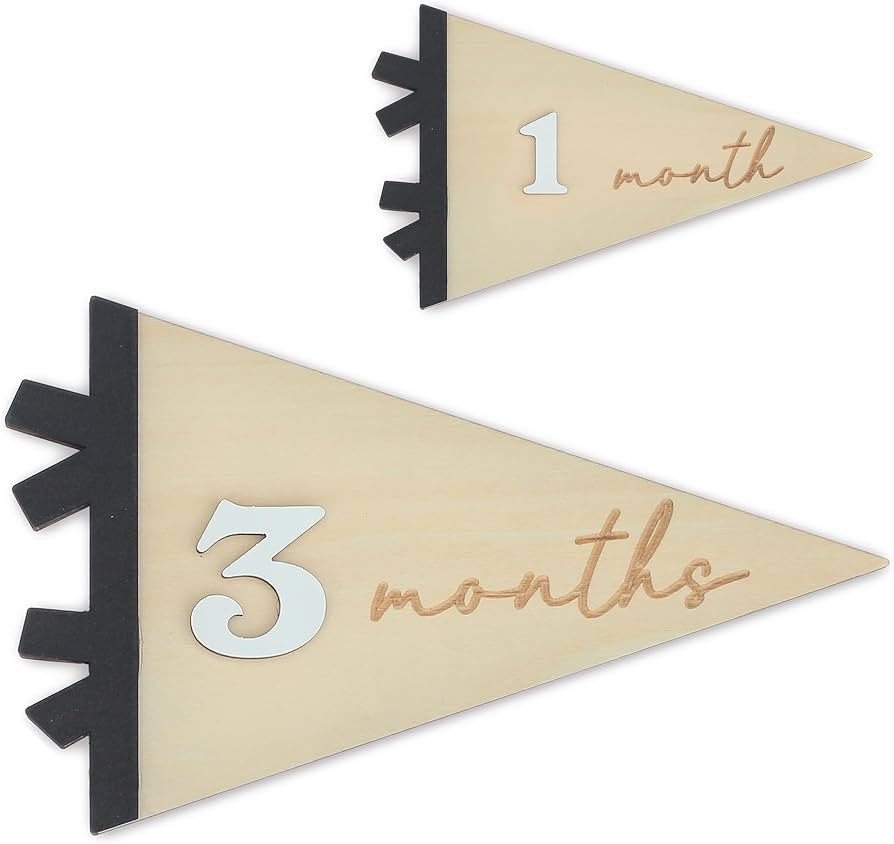 Daisy 3D Baby Monthly Milestone, Wooden Baby Milestone Signs, Monthly Milestone Wood Discs, Baby ... | Amazon (US)