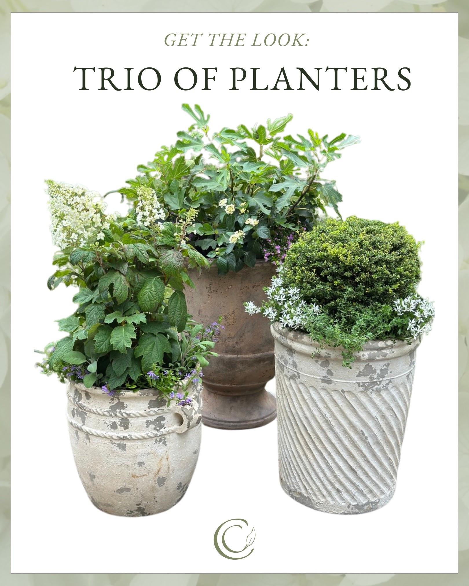 Get this look from the 2025 Southern Living® Idea House dining terrace. Terra cotta planters make an instantly curated grouping.

#LTKHome #LTKSeasonal #LTKStyleTip