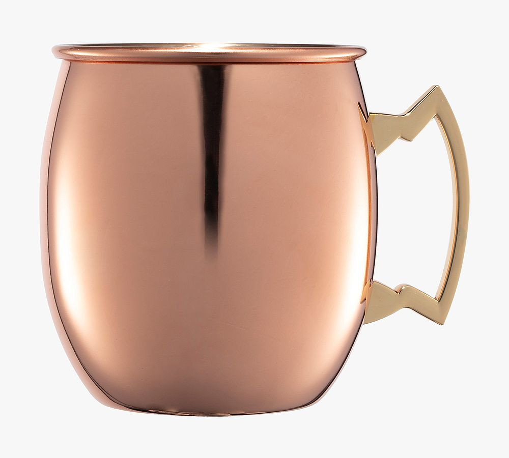 Moscow Mule Mugs | Pottery Barn (US)
