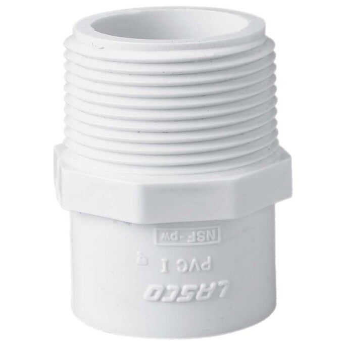 LASCO 3/4-in x 3/4-in dia Adapter PVC Fitting Lowes.com | Lowe's