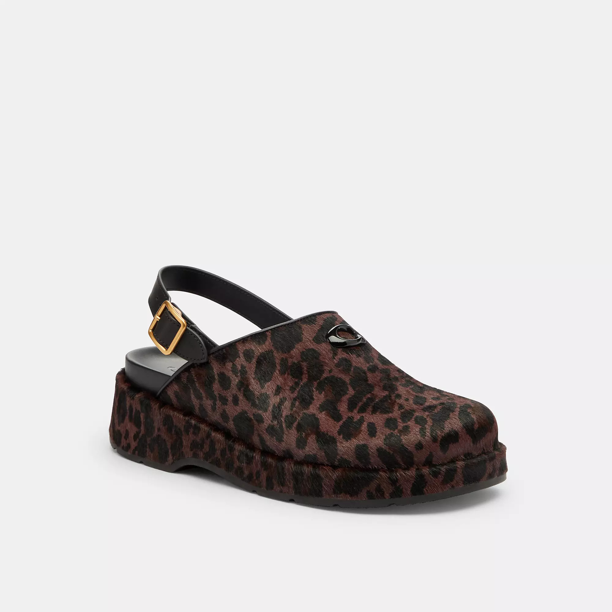 Sculpted C Platform Clog With Leopard Print | Coach (US)