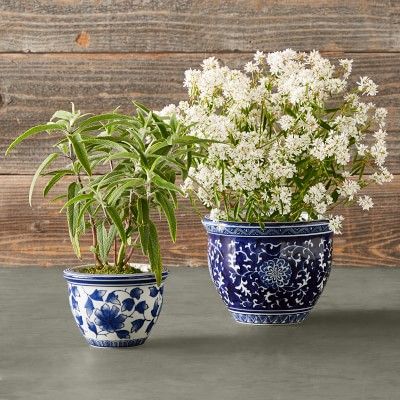 Blue & White Mini Planter Set | Williams-Sonoma