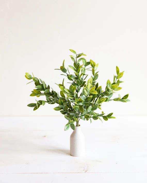 Jasmine Tea Leaf - Greenery - Faux Flower - Filler - Flower Pick | Etsy (US)