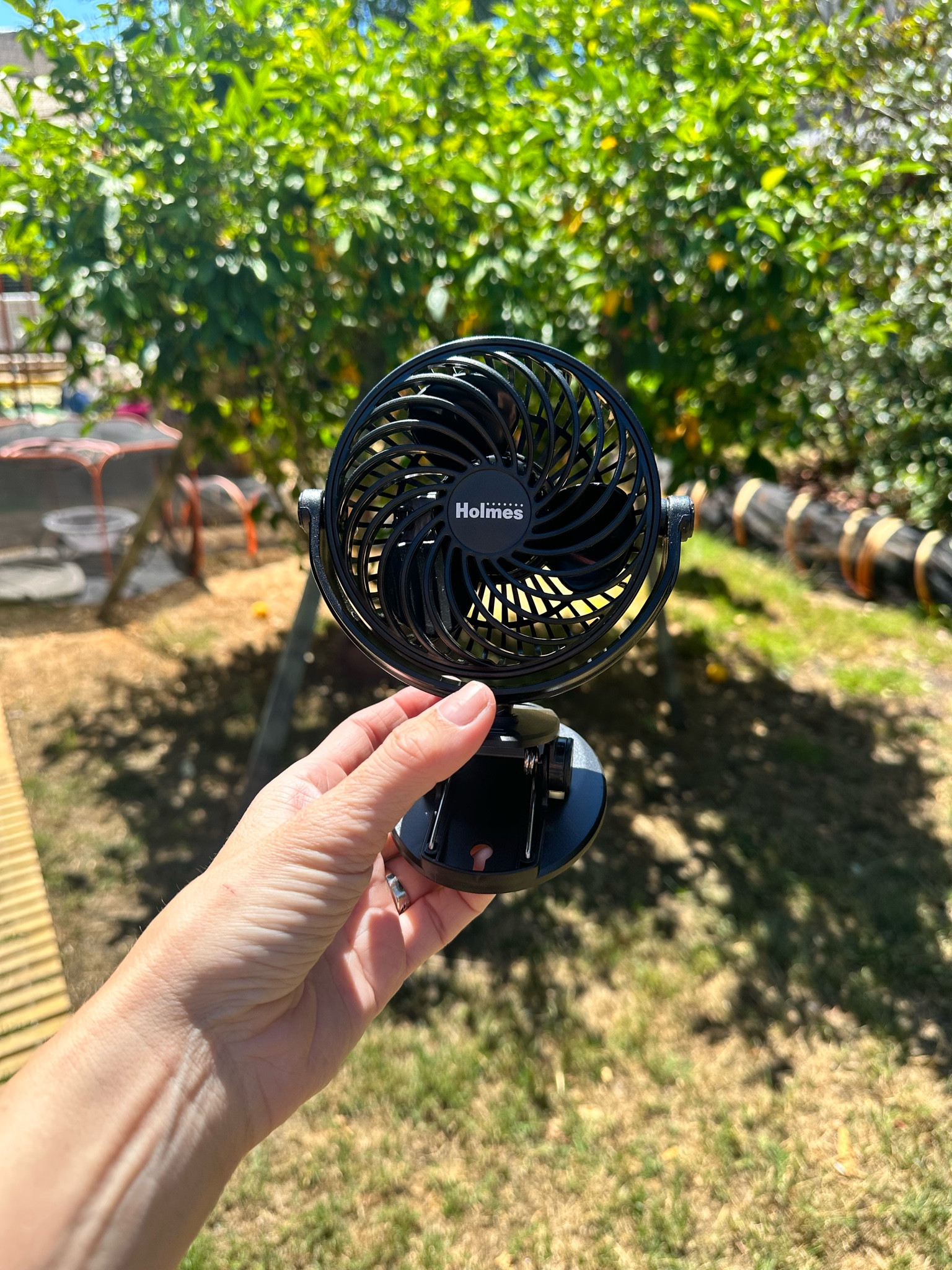 Best fan I purchased for my cats for the summer. They were not afraid of it! 



#LTKhome #LTKbump #LTKSeasonal