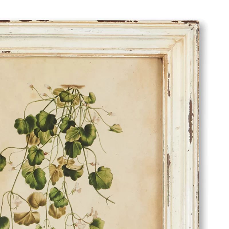 Wild Flower Botanical - 12 Piece Picture Frame Print Set | Wayfair North America