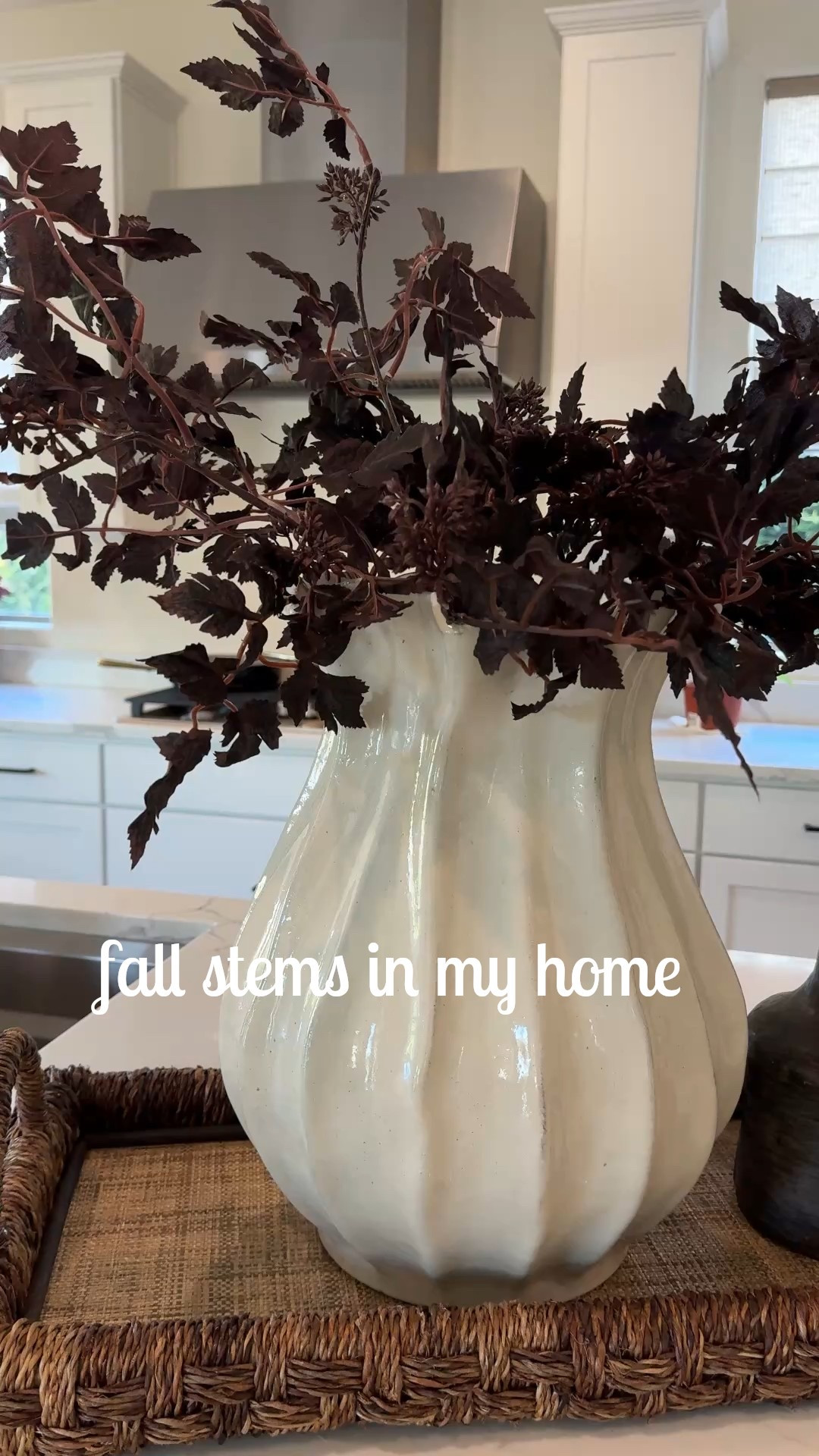 Favorite fall stems!


Fall decor
Faux stems
Faux plants
Faux florals
Fall florals


#LTKHome #LTKSeasonal