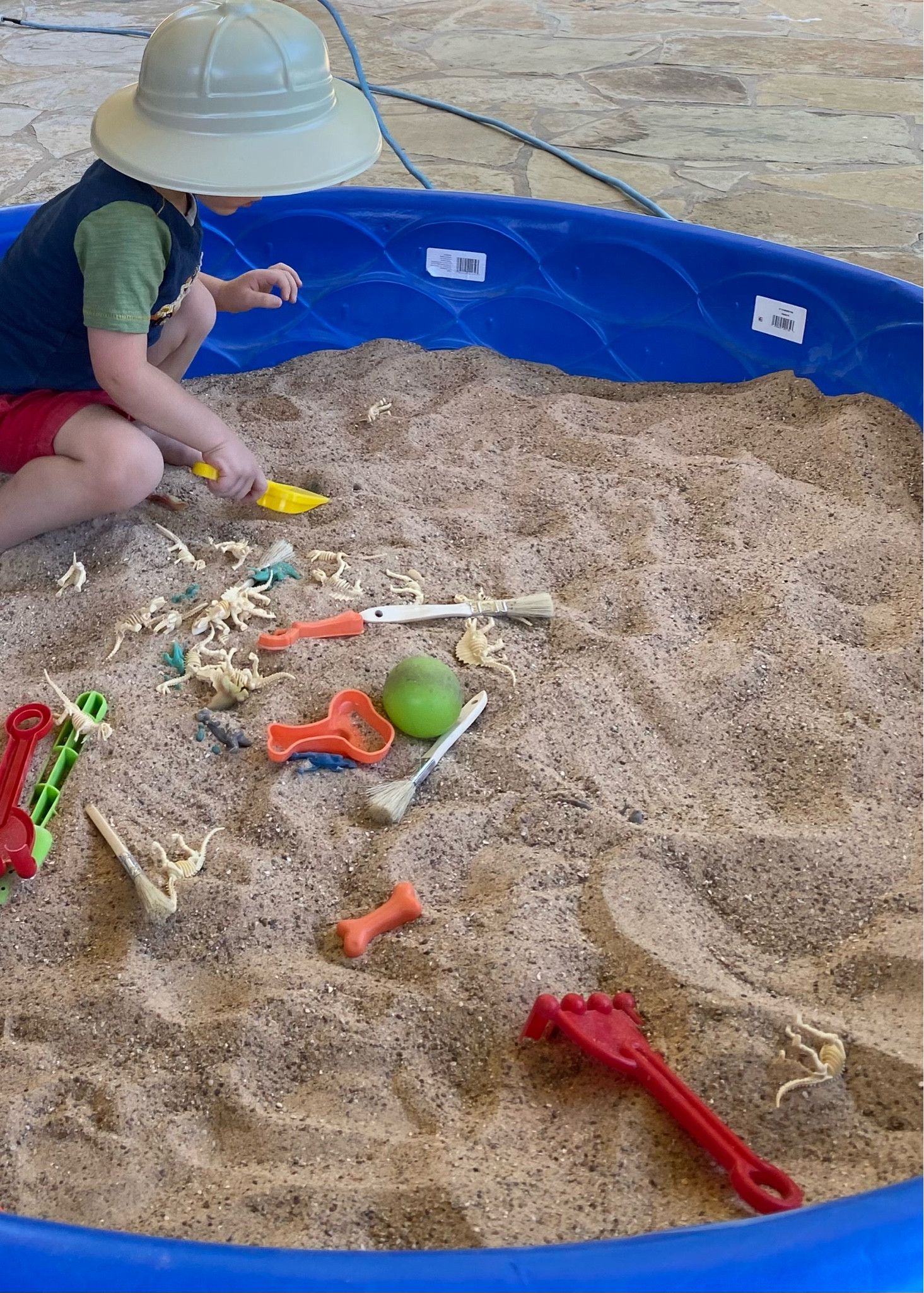 
Run to your Walmart! The plastic pools are on end of season clearance! We turned our sandbox into a dinosaur dig! Full of toy dinosaurs, shovels, brushes, and rakes! Everything a paleontologist would need!

No cover you say? No problem! We cover our sandbox with a fitted sheet after we play! It works perfectly to keep critters out! Follow @thingsamberfound for more ideas!

#dinosaur #playfullearning #sensoryplay #playbasedlearning #boymom #sandbox #toddlermom 