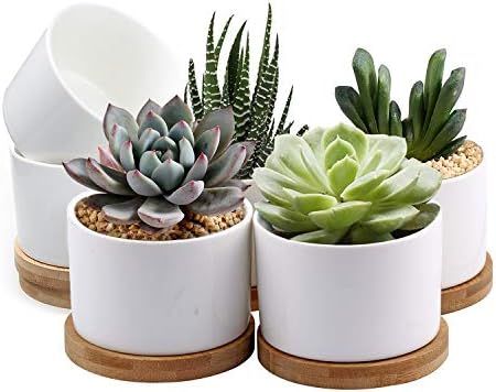 Succulent Pots, ZOUTOG White Mini 3.15 inch Ceramic Flower Planter Pot with Bamboo Tray, Pack of ... | Amazon (US)