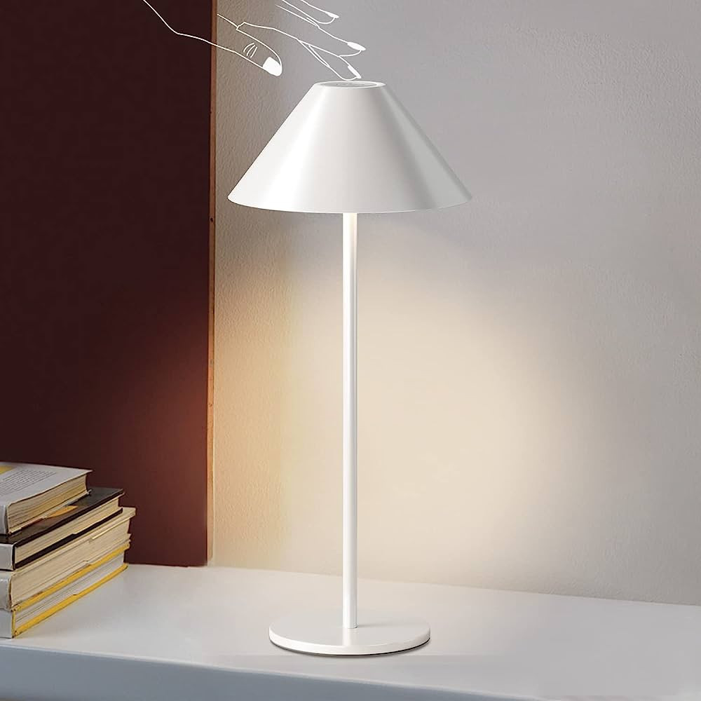 FUNTAPHANTA Modern LED Rechargeable Cordless Table Lamp with 2 Color Lamp Rod, IP54 Waterproof, 2... | Amazon (US)