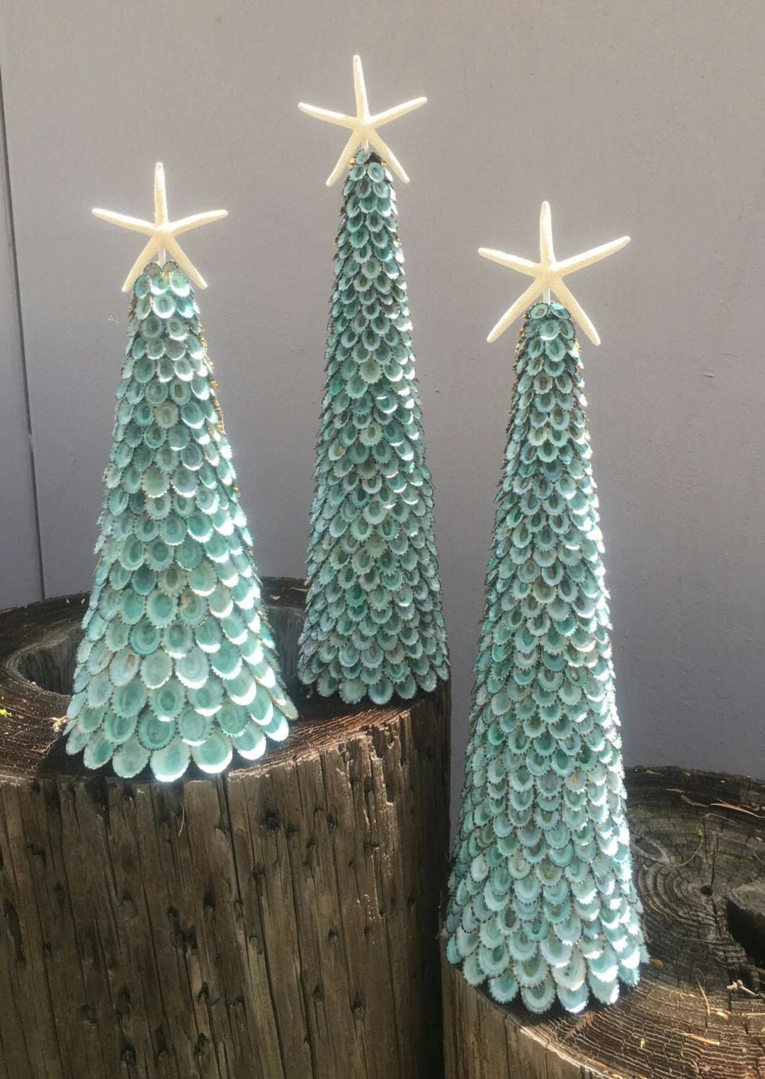 Limpet Shell Tree White Starfish Top Blue Green Aqua Natural Color Coastal Christmas Seashell Topiar | Etsy (US)