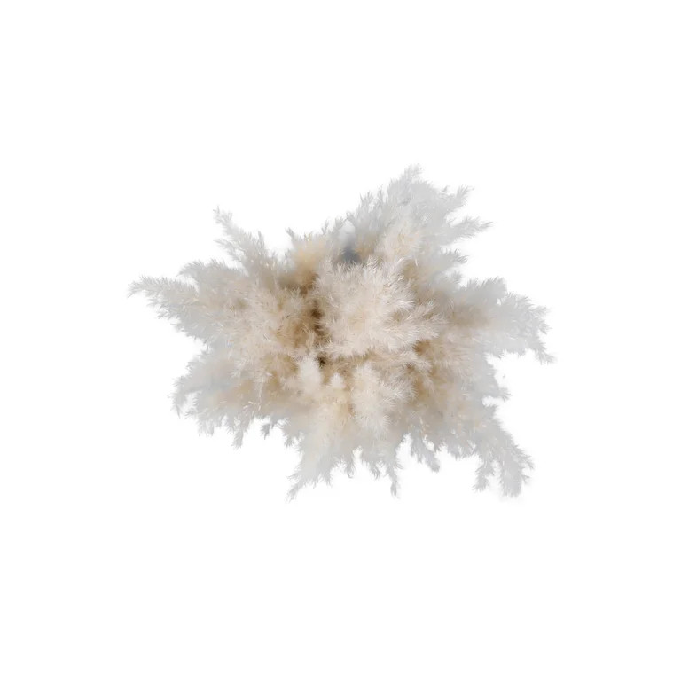 Home Decor Collection 16.5 " Pampas Dried Grass in Brown Ceramic Vase Made for Tabletops- 2 lbs | Walmart (US)