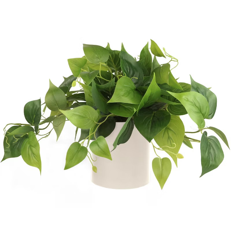 Forever Leaf Artificial Pothos Plant in a White Pot, Desk Plant for Office, Shelf Decor Greenery | Target