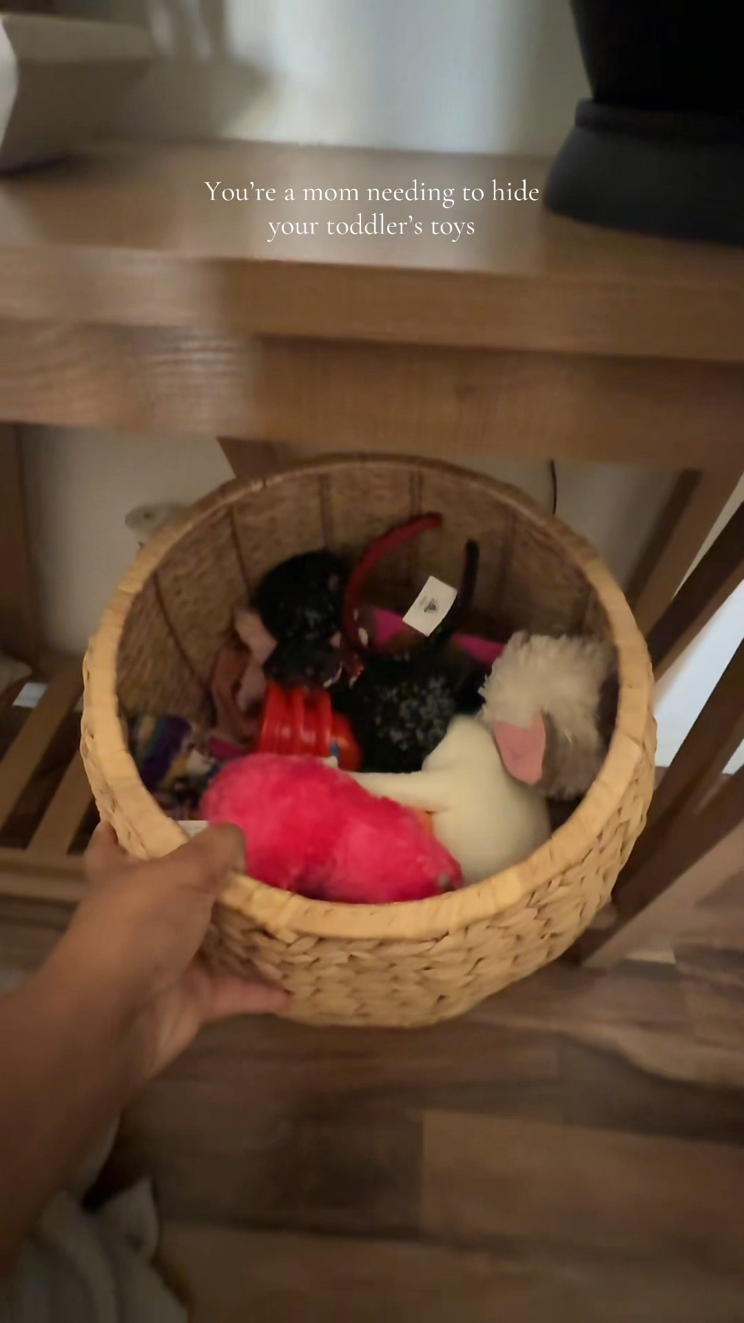 You’re a mom wanting to hide your toddler’s toys 

#LTKKids #LTKOver40 #LTKHome