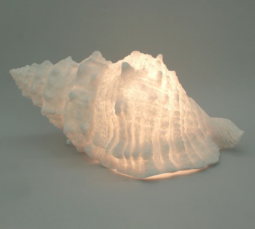 Decorative Lit Frosted Glass Sea Shell | Pottery Barn (US)