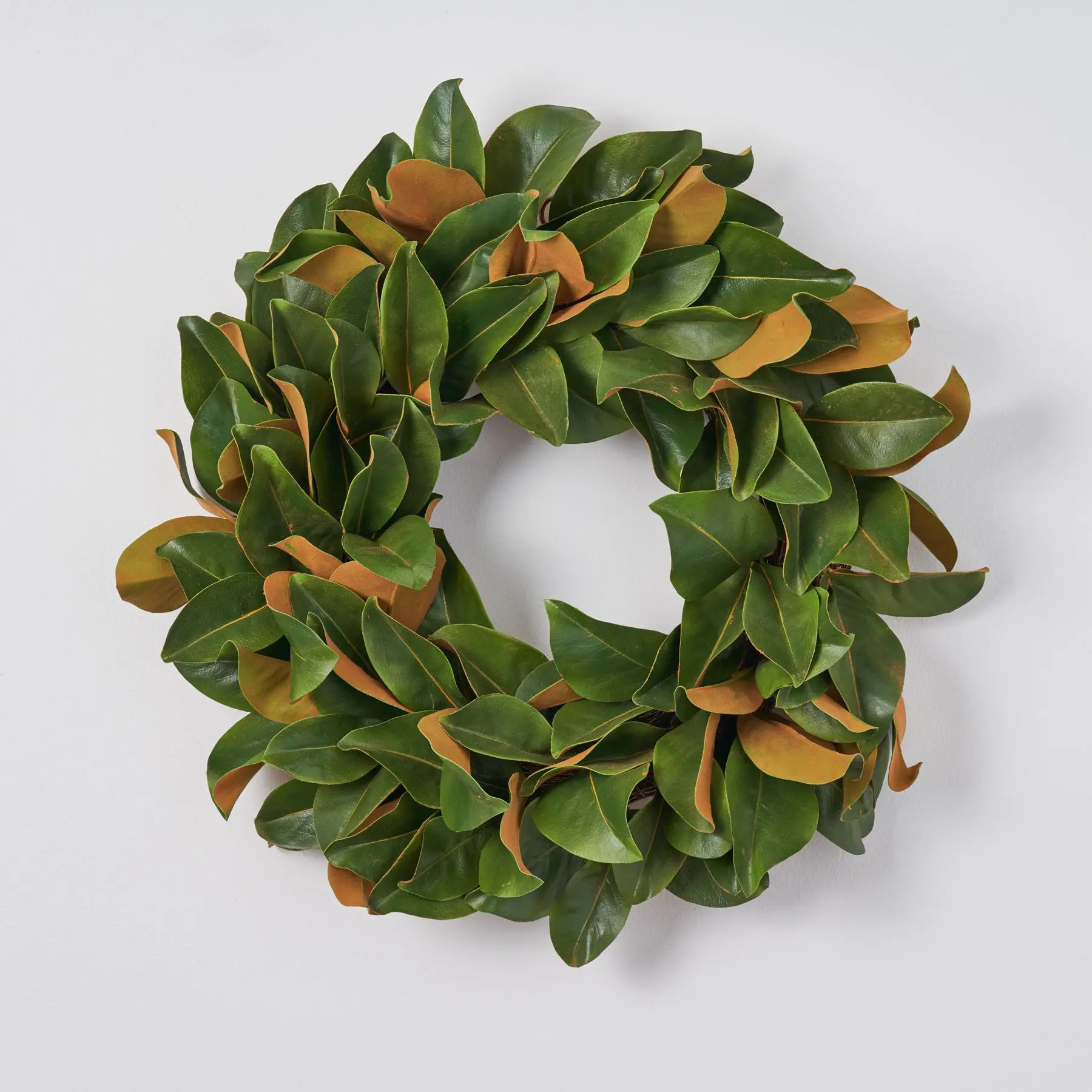 Classic Real Touch Magnolia Leaf All Seasons Front Door Wreath 24" | Darby Creek Trading