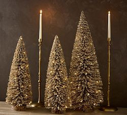 Lit Bottlebrush Trees | Pottery Barn (US)