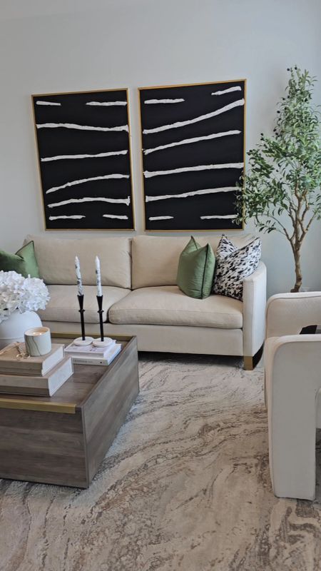 Living room refresh 

#LTKVideo #LTKHome #LTKSaleAlert