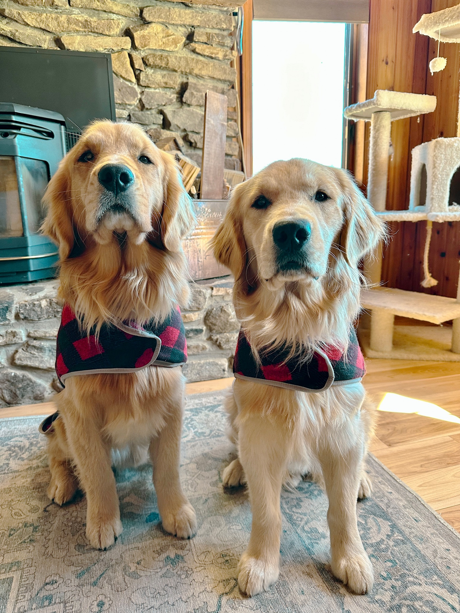 Feelin festive in our holiday jackets 🎄Linked similar below!

#LTKstyletip #LTKHoliday #LTKSeasonal