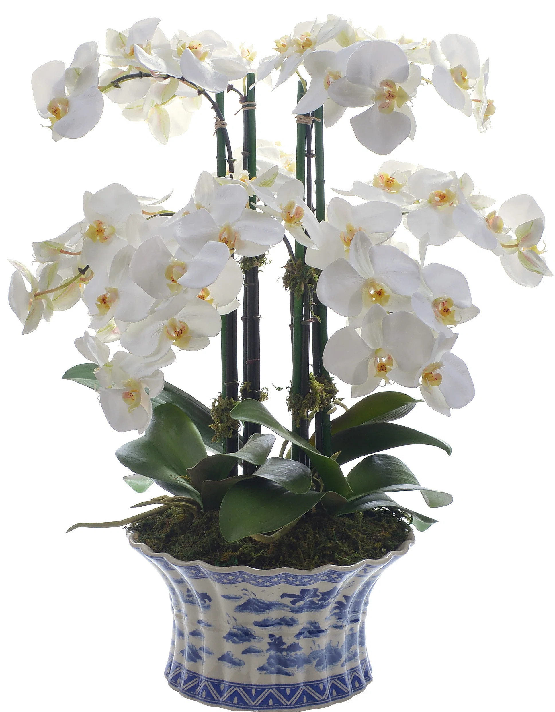 Fabric Orchid Arrangement in Pot | Wayfair North America