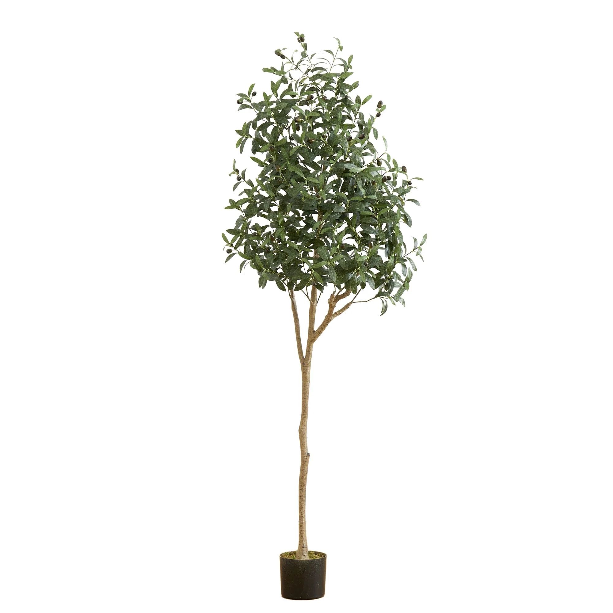 6’ Artificial Olive Tree | Nearly Natural | Nearly Natural