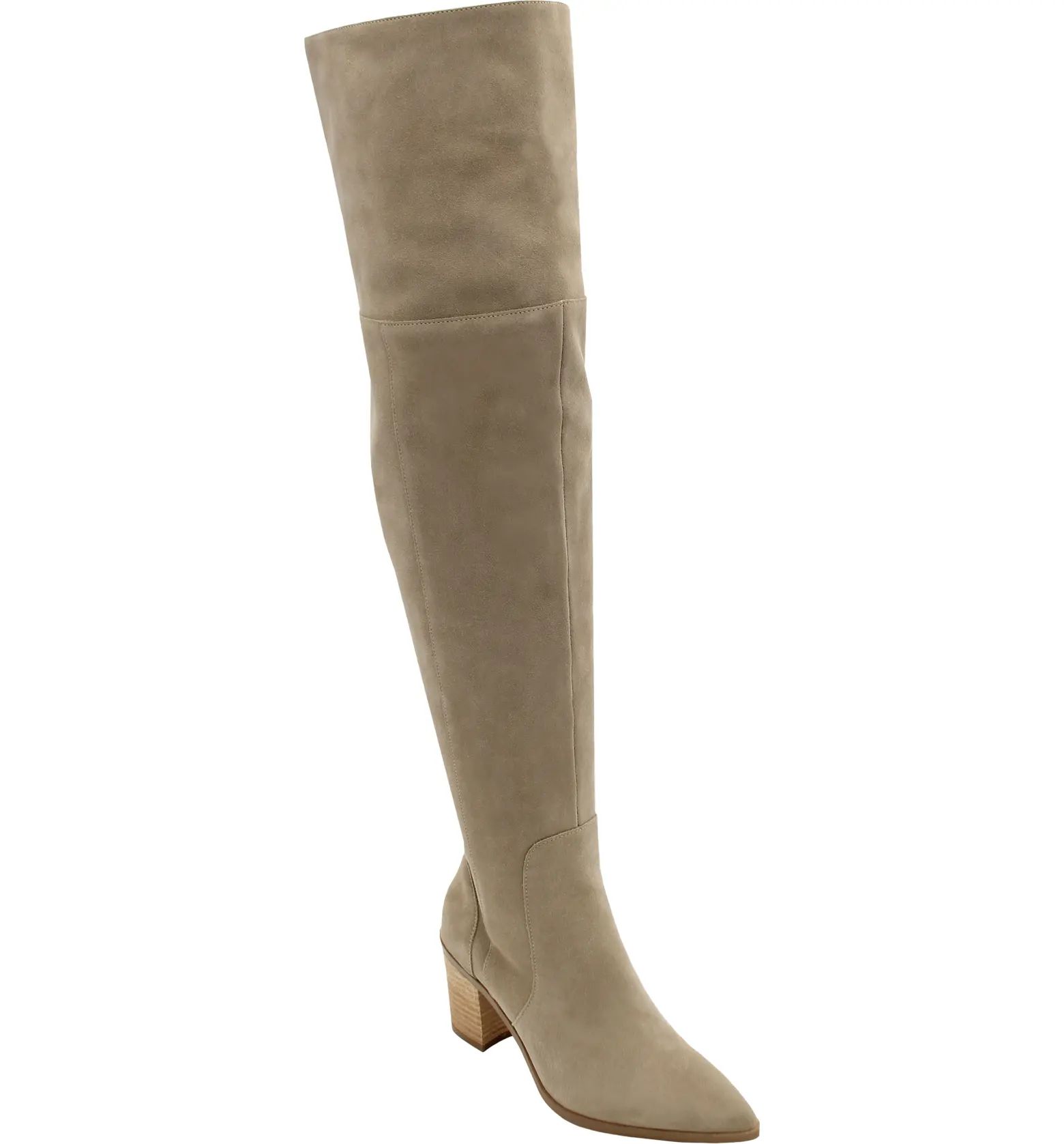 Charles David Elda Pointed Toe Over the Knee Boot (Women) | Nordstrom | Nordstrom