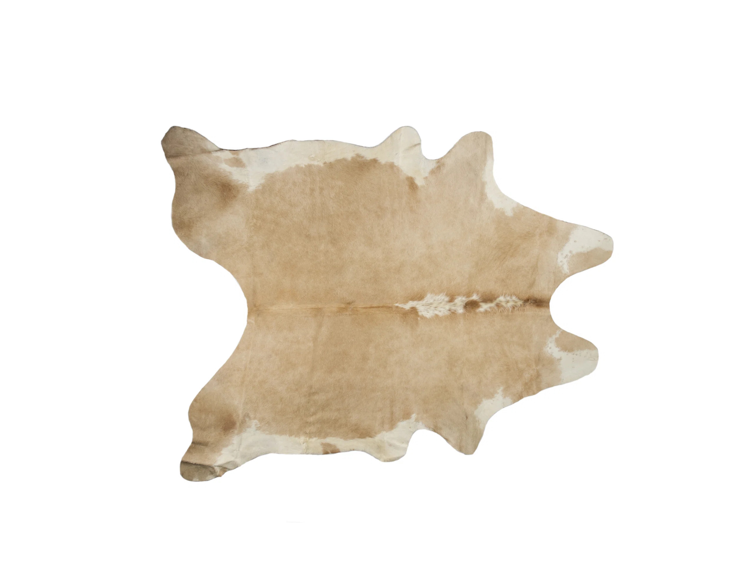 Goosman Performance Cowhide Animal Print Indoor Rug | Wayfair North America
