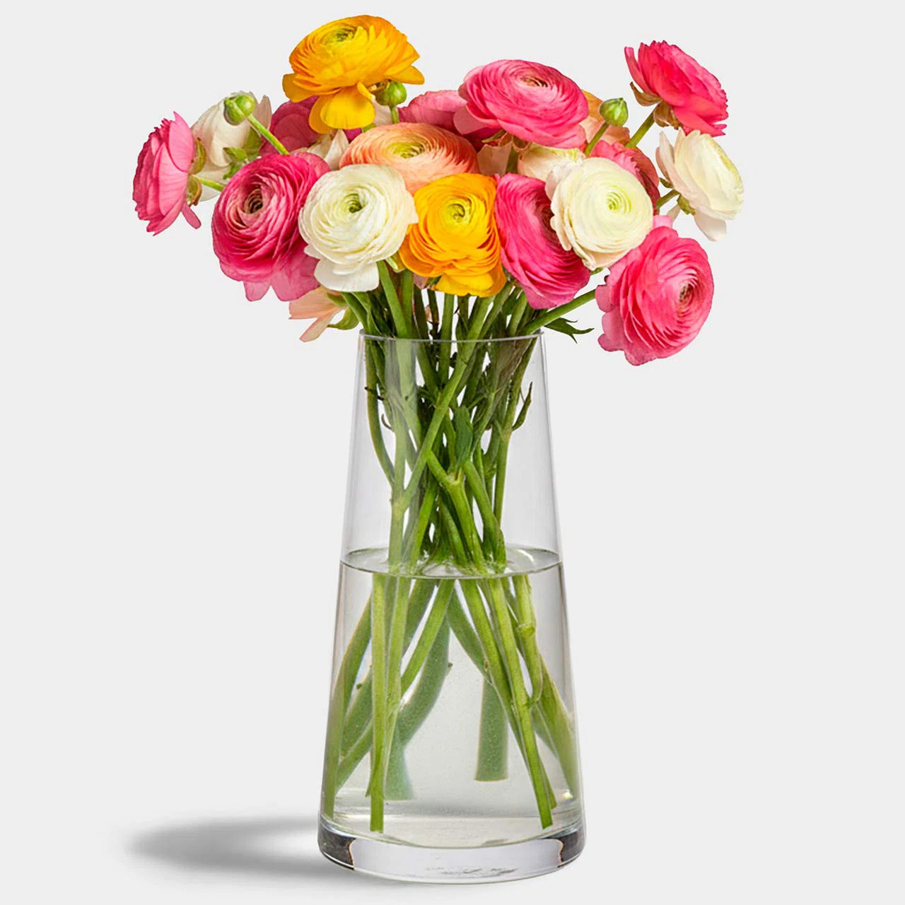 Aadvik 12 inch Glass Table Vase, 82 oz Capacity | Wayfair North America