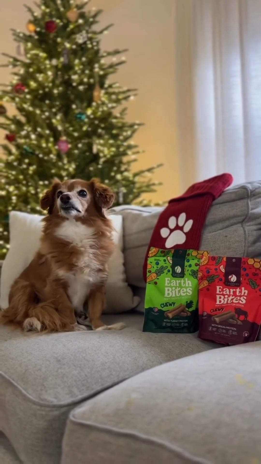 #ad Stocking happiness found for Bella 🐕
We are gifting her treats of wellness and Christmas cheer with her favorites from @earthbornholistic 🐾 

Earthborn Holistic EarthBites Crunchy grain-free treats come in four options and are bursting with antioxidant-rich superfoods. I love they are made with tasty superfoods like pumpkin, apples, and carrots. 🥕
EarthBites Chewy comes in four delicious options! They have food options to fit everyone’s needs with a variety of different diet options: grain-free, limited ingredient (Dog Food Only), and grain-inclusive!

I love they are packaged in convenient, recyclable, and resealable bags that keep the treats fresh!

@earthbornholistic uses a holistic approach to creating professionally formulated, great-tasting options for pets. Oven-baked in their family-owned, USA kitchens! 🇺🇸 

Comment ‘EARTHBITES’ and I will send you a link to your DM to grab some for your pup 🐕

#earthbornholistic #DogChristmas #StockingStuffer #HolisticDogTreats