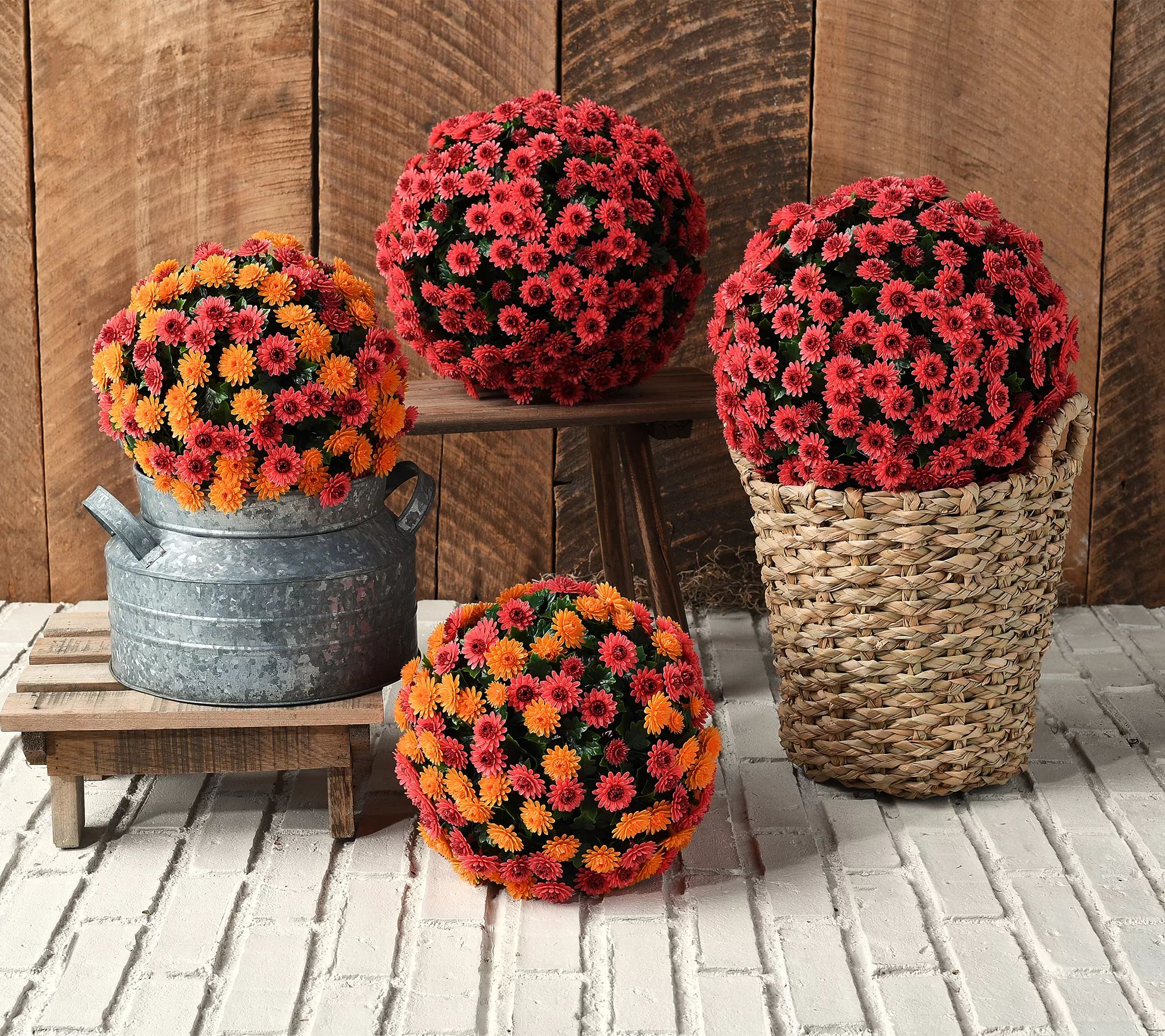 Wicker Park Set of (2) 10" or 12" Faux Mum Garden Spheres - QVC.com | QVC