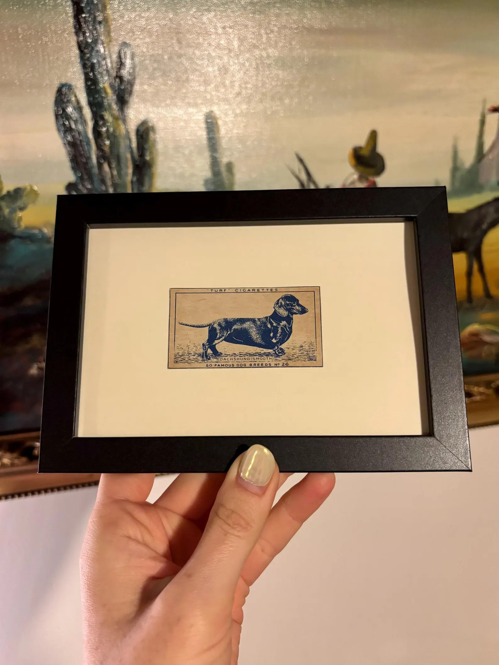 Mid Century Framed Antique Blue & White Carreras Turf Cigarette Card Dog Breeds - smooth dachshun... | Etsy (Global)
