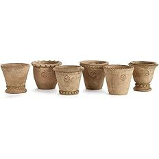 Napa Home & Garden Wh Mini Pots, Set of 6 | Amazon (US)