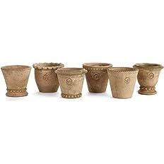 Napa Home & Garden Wh Mini Pots, Set of 6 | Amazon (US)