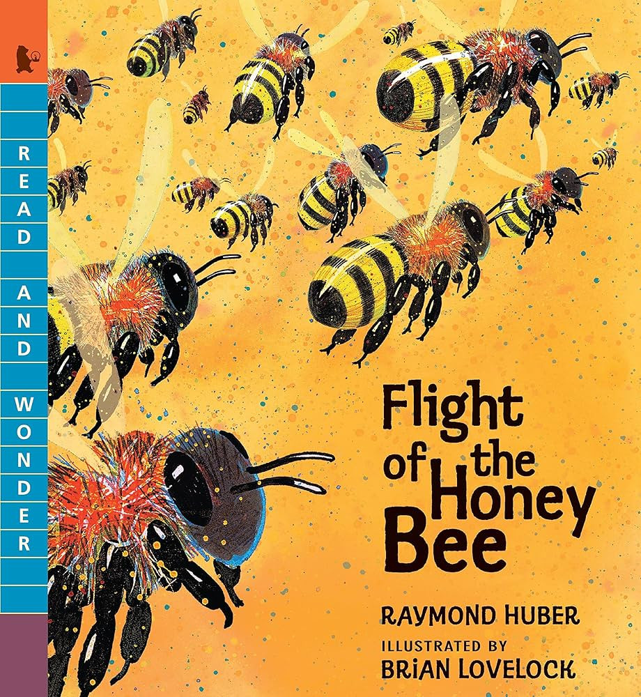 Flight of the Honey Bee (Read and Wonder) | Amazon (US)