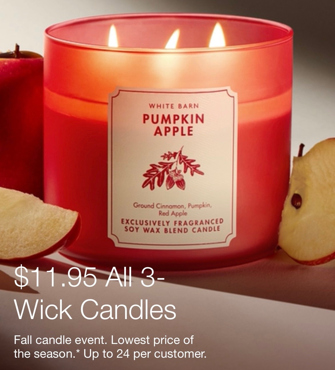 Happy Friday! Bath & Body Works has their 3 Wick Candles down to only $11.99 today! Lowest price of the season on these fan favorite candles. Tons of lovely seasonal scents to choose from! 🍁

#LTKSeasonal #LTKHome #LTKSaleAlert