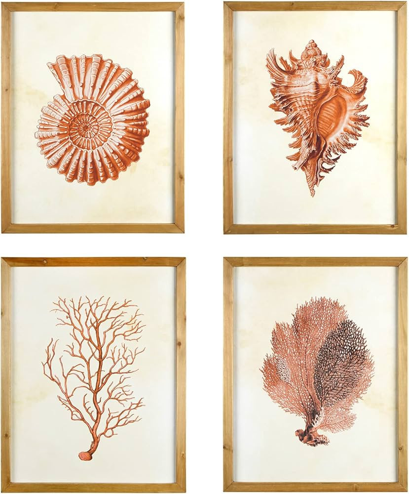 Creative Co-Op Wood Framed Wall Art Portrait with Shells and Coral, Multicolor, Set of 4 | Amazon (US)