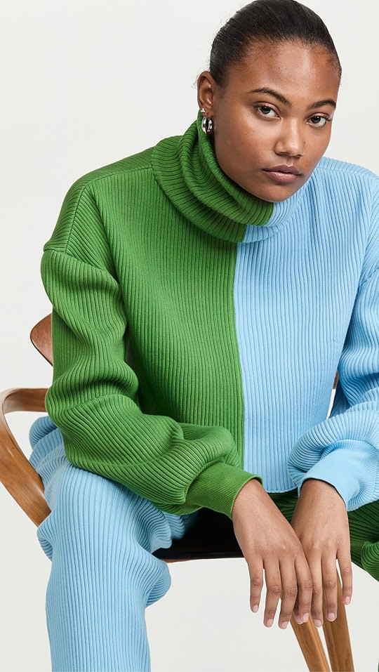 Crop Sweater Rib Turtleneck Sweater | Shopbop