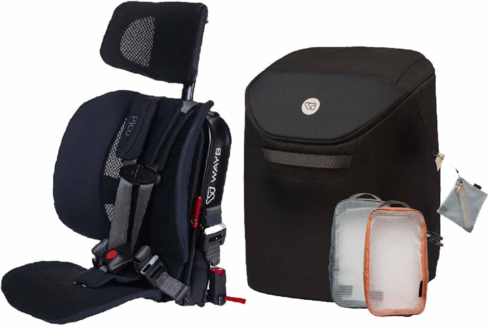 WAYB Pico Travel Car Seat Organizer Bundle | Amazon (US)