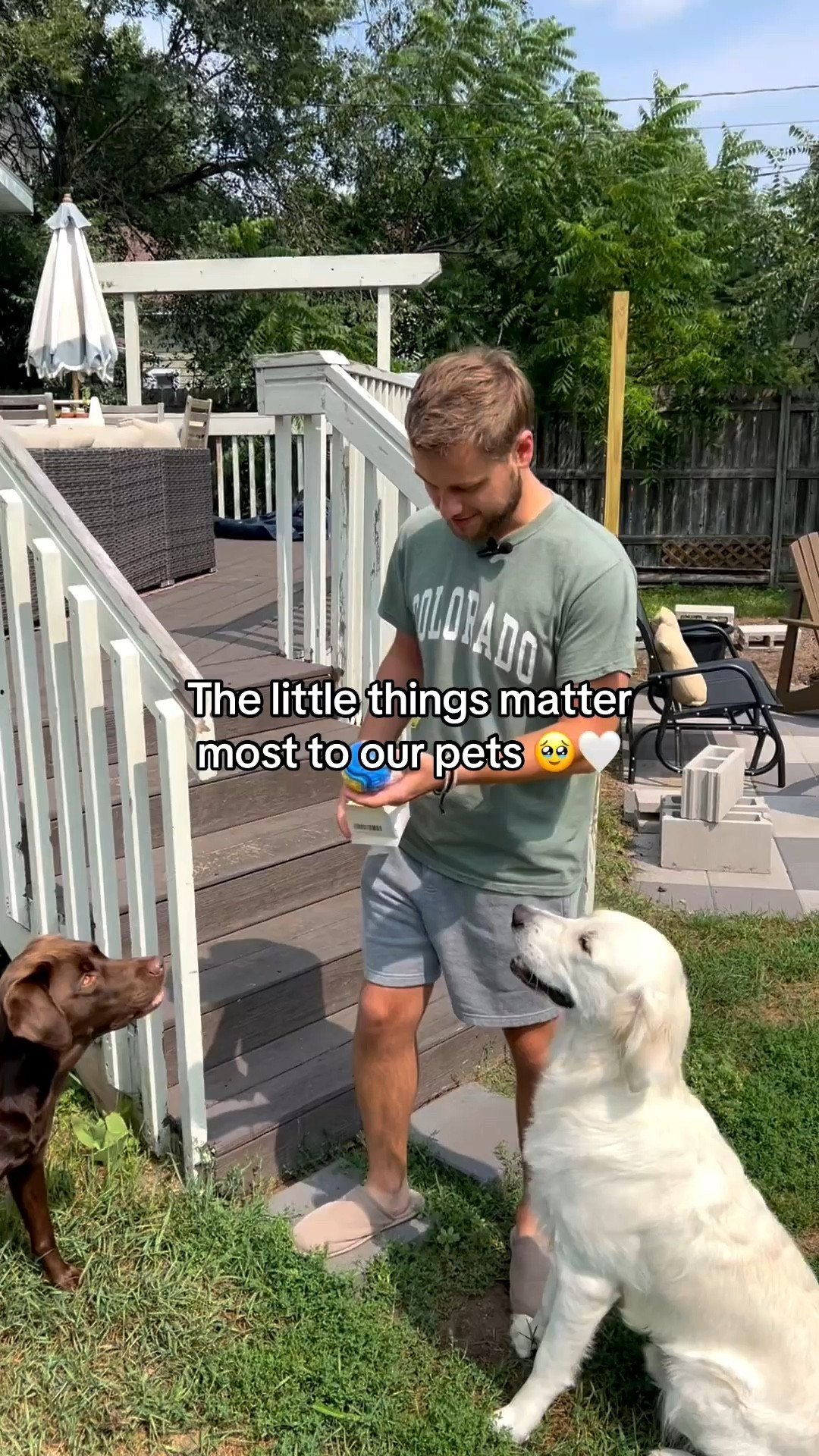 It made their whole week 🥹😭

#doggiftsideas #dogsurprise #dogparents #dogball

#LTKPets