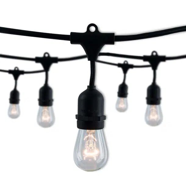 14-ft Outdoor Plug-In String Light (End to End Connectable) Includes 10 Standard Incandescent Bul... | Wayfair North America