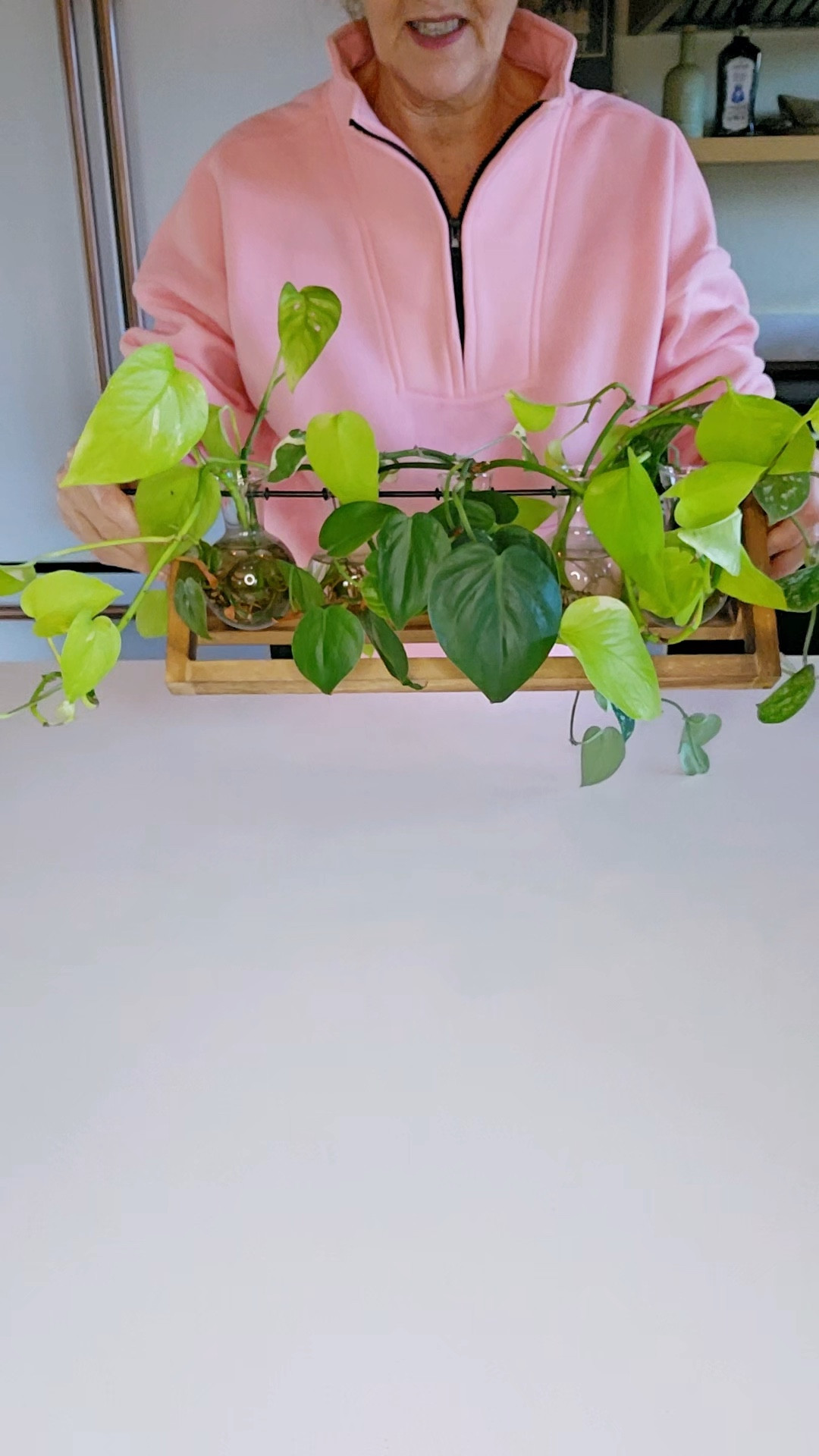 Propagate your cuttings, and make it look good with these propagation stations. 

#LTKfindsunder50 #LTKfindsunder100 #LTKhome