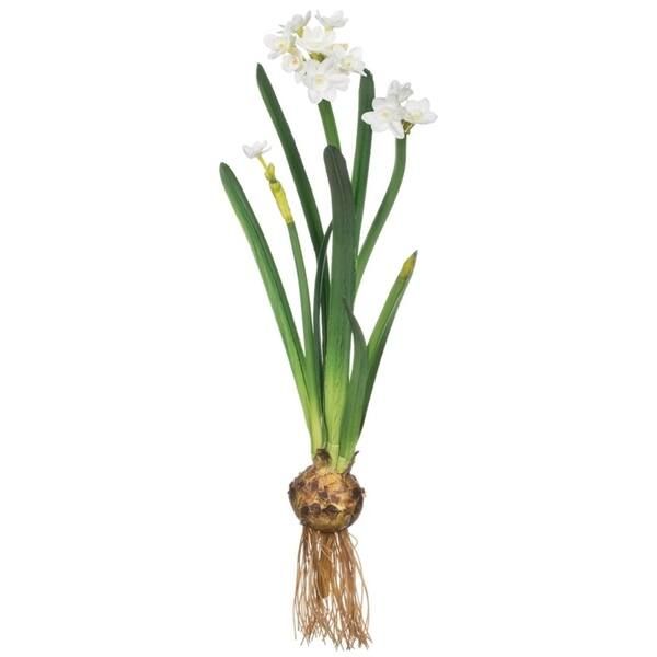 Sullivans Paper White With Bulb Stem - Overstock - 30337066 | Bed Bath & Beyond